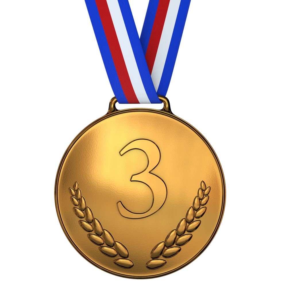 medal, bronze, award-1622549.jpg
