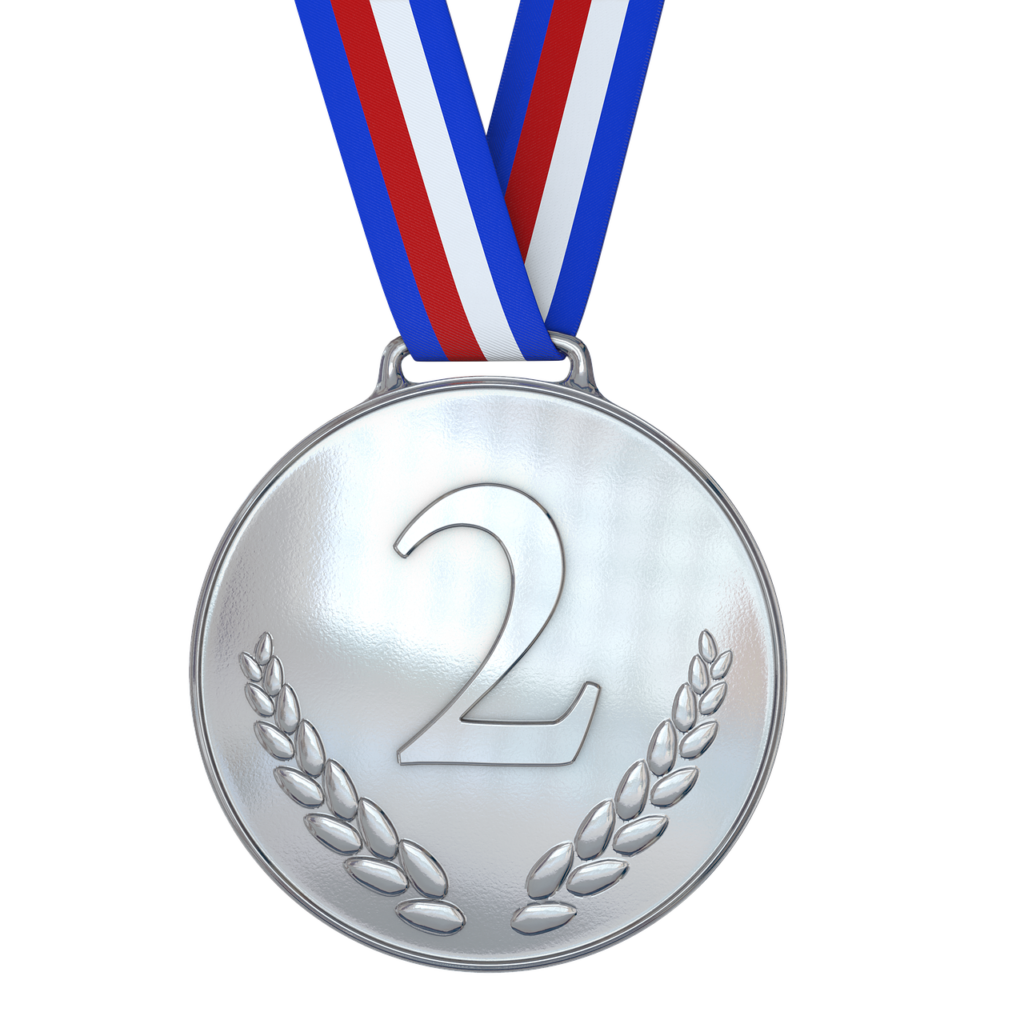 medal, silver, award-1622529.jpg